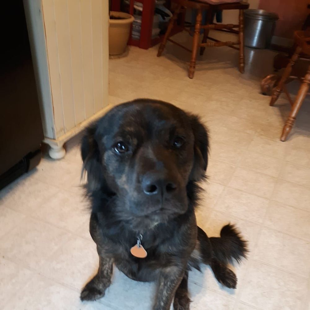 Meet your Posher, Jeanne